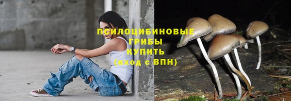 гидропоника Протвино