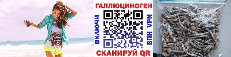 наркотики  Колпашево  Псилоцибиновые грибы мицелий 